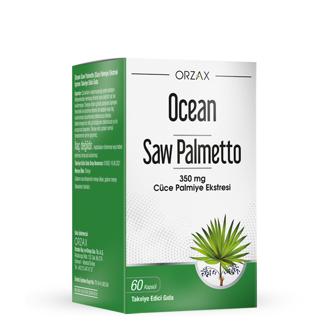 Ocean Saw Palmetto
