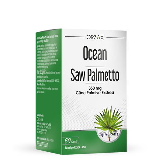 Ocean Saw Palmetto